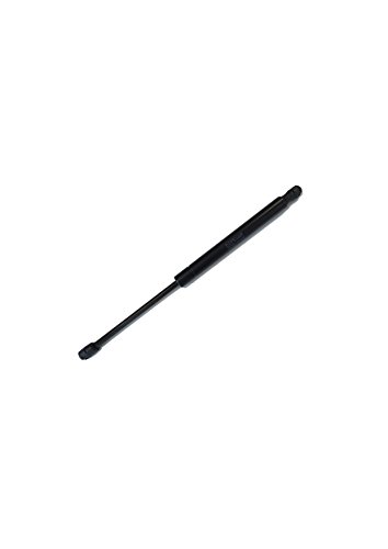 1118 1 stabilus molla a gas lift o.jpg