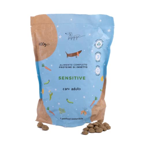 2248 1 hygge dog crocchette cani cibo.jpg