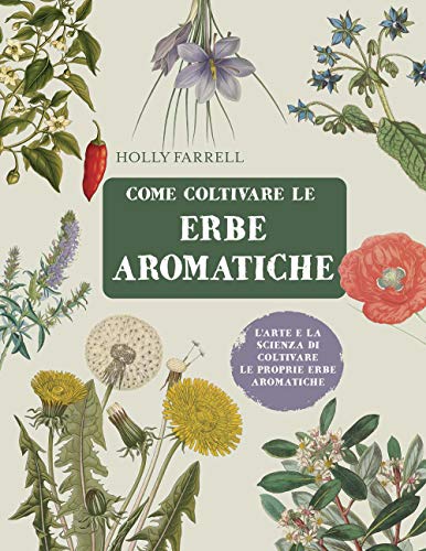 3297 1 come coltivare le erbe aromati.jpg