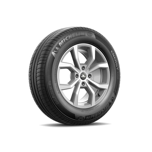 5538 1 michelin energy saver 205.jpg