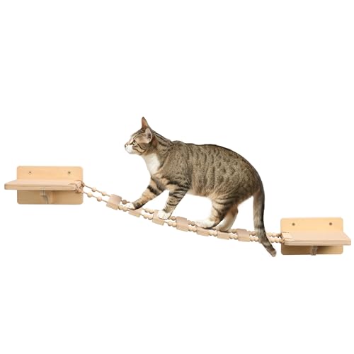 6538 1 navaris ponte per gatti da par.jpg