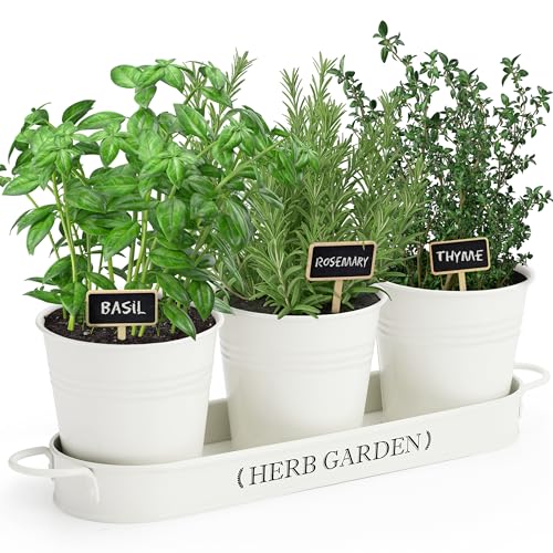 7624 1 perfnique giardino di erbe aro.jpg