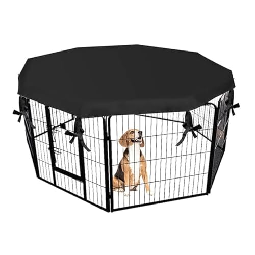7871 1 zonahah copertura box cani 8 p.jpg
