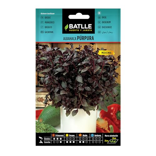 8362 1 battle semi aromatici basili.jpg