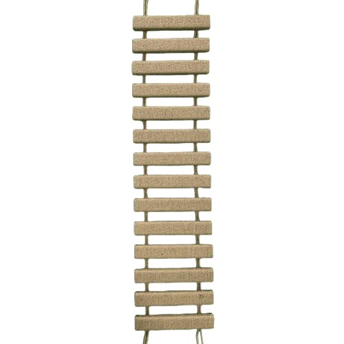 8413 1 scala per gatti da 1016 cm p.jpg