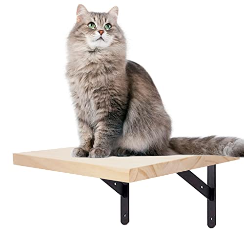 10080 1 scaletta per gatti mensola per.jpg
