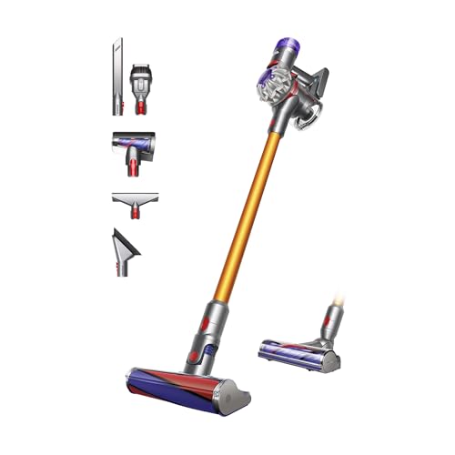 10137 1 dyson v8 absolute aspirapol.jpg
