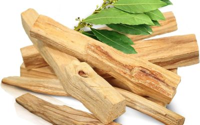 palo santo incenso
