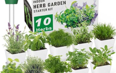 kit erbe aromatiche